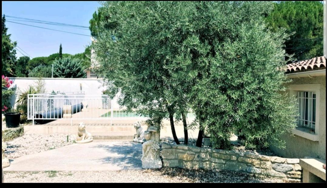 Suite Parentale Avec Petit Sejour Et Piscine Carpentras Exterior photo